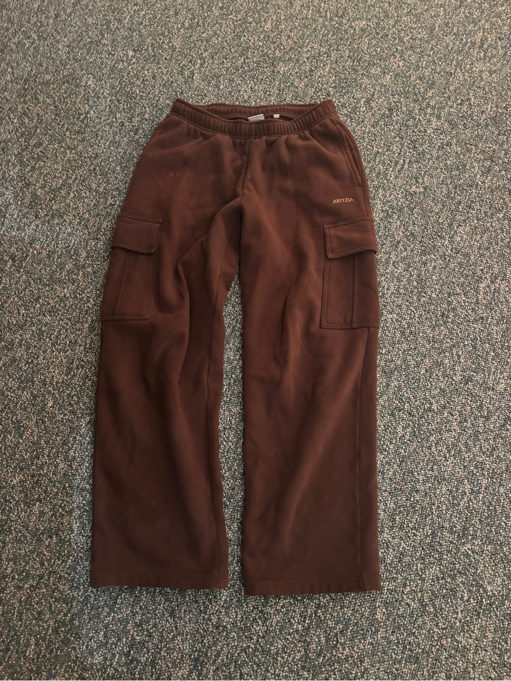 Aritzia Brown Men’s Cargo Sweatpants